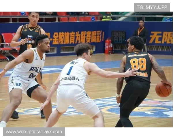 香港金牛四连客首战山东蜜獾，陈玖璋前CBA球员领衔